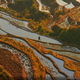 Illustration for article titled The best pictures from National Geographic's Photo Contest 2014